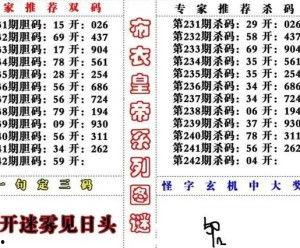 3d字谜213,探寻数字213背后的奥秘