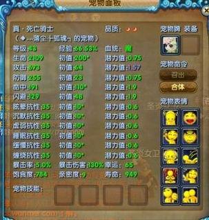 幸运武林跨度表,跨度表背后的神奇奥秘