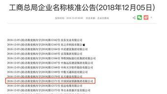 11选五幸运号,揭秘中奖秘诀