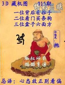 3D字迷诗意,揭秘3D字迷的奇幻之旅