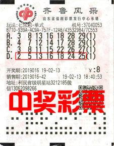 7乐彩幸运选号,揭秘中奖秘诀，轻松收获幸运