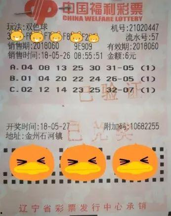 双色幸运选号趣味选号,趣味选号，开启您的幸运之旅