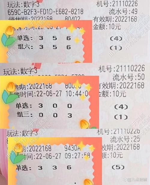 3d彩报168,揭秘三维彩印的魅力与未来